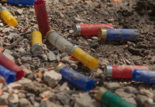 Impatto del piombo sull’ambiente Impatto del piombo sull’ambiente