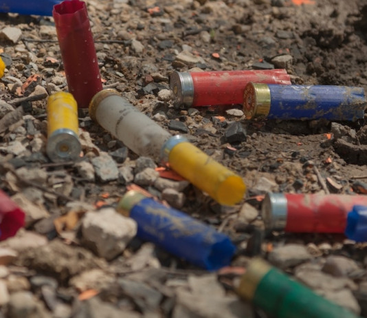 Impatto del piombo sull’ambiente Impatto del piombo sull’ambiente