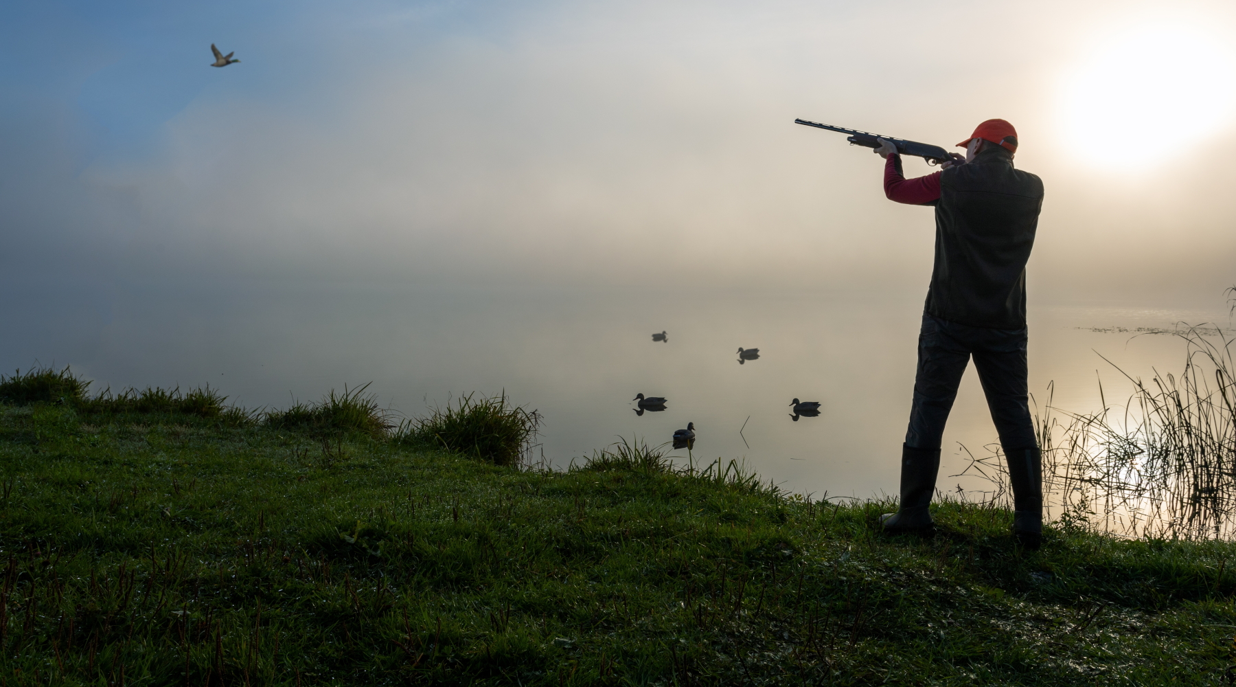 Perché interpretazioni difformi dell’emendamento sui calendari venatori? Perché interpretazioni difformi dell’emendamento sui calendari venatori? cacciatore di acquatici