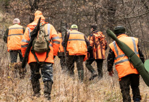 Quali sono state le notizie di caccia più lette nel 2024? Quali sono state le notizie di caccia più lette nel 2024? cacciatori di spalle, con abbigliamento alta visibilità