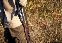 Quattro associazioni venatorie bocciano proposta di statuto unico per Atc delle Marche Quattro associazioni venatorie bocciano proposta di statuto unico per Atc delle Marche: cacciatore con fucile