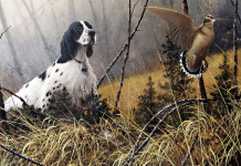 Trofeo Gramignani-Club della Beccaccia: le prove a febbraio e marzo Trofeo Gramignani Club della Beccaccia le prove a febbraio e marzo