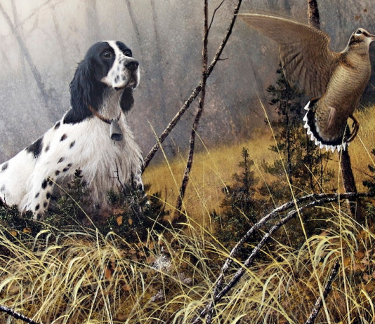 Trofeo Gramignani-Club della Beccaccia: le prove a febbraio e marzo Trofeo Gramignani Club della Beccaccia le prove a febbraio e marzo