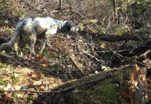 Trofeo Gramignani: prossima prova a Reggio Emilia Trofeo Gramignani: prossima prova a Reggio Emilia