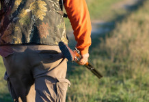 Arcicaccia Marche: lo statuto tipo Atc è atto errato e poco democratico A Siena un convegno sul ruolo sociale della caccia: cacciatore di spalle, con doppietta in mano