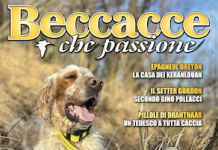 Beccacce che Passione numero 2 2025 vi aspetta in edicola Beccacce che Passione numero 2 2025