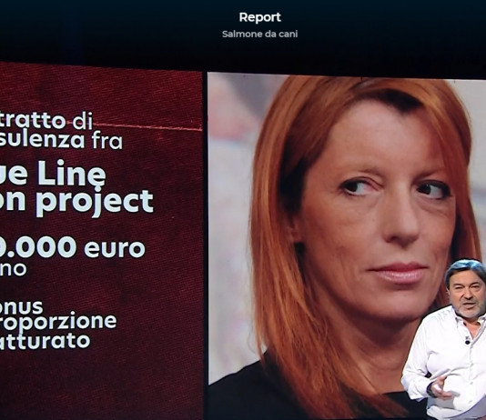 Cabina di regia del mondo venatorio: «Chiarezza su operato Michela Brambilla» Cabina di regia del mondo venatorio «Chiarezza su operato Michela Brambilla»