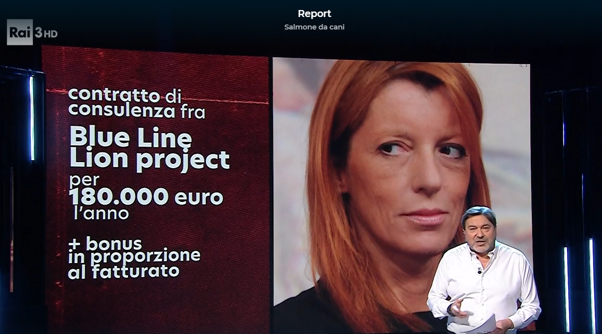 Cabina di regia del mondo venatorio «Chiarezza su operato Michela Brambilla» Cabina di regia del mondo venatorio «Chiarezza su operato Michela Brambilla»