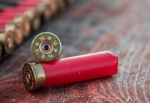 L’Europa punta a vietare l’impiego delle munizioni in piombo a caccia L’Europa punta a vietare l’impiego delle munizioni in piombo