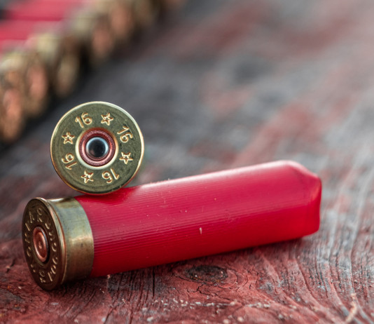 L’Europa punta a vietare l’impiego delle munizioni in piombo a caccia L’Europa punta a vietare l’impiego delle munizioni in piombo