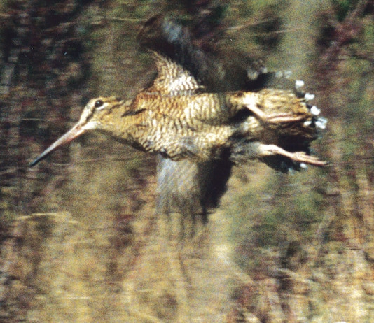 Migrazione e Key Concepts Migrazione e Key Concepts