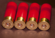 Restrizioni alle munizioni in piombo, doppia proposta dell’Arcicaccia Restrizioni alle munizioni in piombo, doppia proposta dell’Arcicaccia: quattro cartucce da caccia con fondello rosso