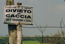 Enpa chiede sospensione della caccia Enpa chiede sospensione della caccia