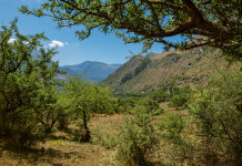 Federcaccia scrive a Regione Sicilia su estensione aree protette Federcaccia scrive a Regione Sicilia su estensione aree protette - Parco delle Madonie
