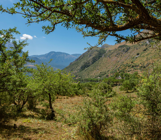 Federcaccia scrive a Regione Sicilia su estensione aree protette Federcaccia scrive a Regione Sicilia su estensione aree protette - Parco delle Madonie