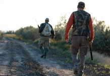 Quanti sono i cacciatori in Toscana? Quanti sono i cacciatori in Toscana?