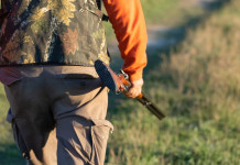 Statuto tipo Atc Marche, Arcicaccia procederà con l’impugnazione al Tar Statuto tipo Atc Marche, Arcicaccia procederà con l’impugnazione al Tar