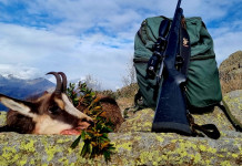 Long range shooting: a chi giova? long range shooting a chi giova