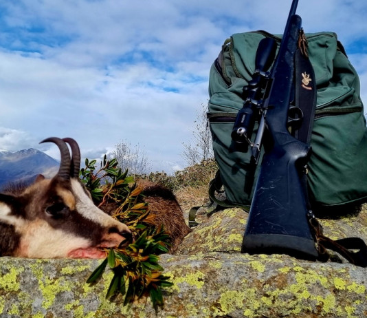 Long range shooting: a chi giova? long range shooting a chi giova