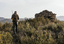 Quanti sono i cacciatori in Emilia Romagna? Quanti sono i cacciatori in Emilia Romagna?