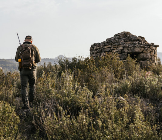 Quanti sono i cacciatori in Emilia Romagna? Quanti sono i cacciatori in Emilia Romagna?