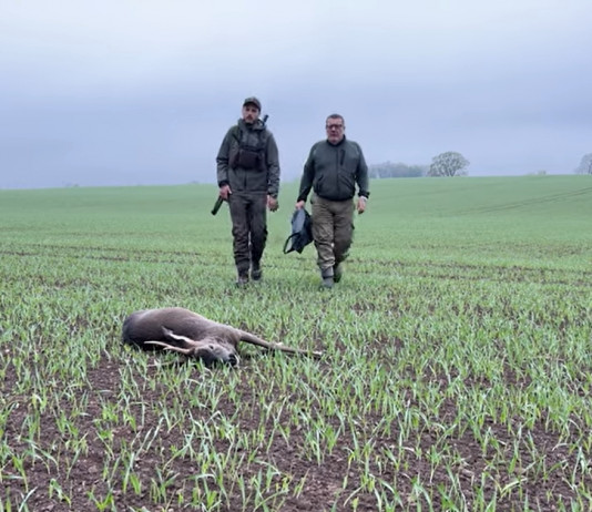 Caccia al capriolo in Scozia: il video reportage caccia al capriolo in scozia il video reportage
