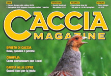 Caccia Magazine giugno 2025 caccia magazine giugno 2025