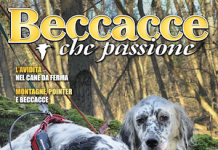 Beccacce che Passione numero 3 2025 vi aspetta in edicola Beccacce che Passione numero 3 2025