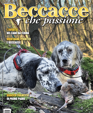 Beccacce che Passione numero 3 2025 vi aspetta in edicola Beccacce che Passione numero 3 2025