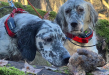 Beccacce che Passione 3 2025 vi aspetta in edicola Beccacce che Passione 3 2025 vi aspetta in edicola