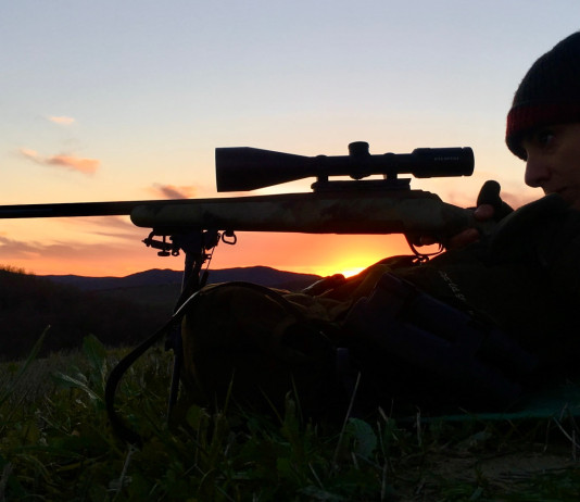 Ecco il testo di riforma della legge sulla caccia Ecco il testo di riforma della legge sulla caccia