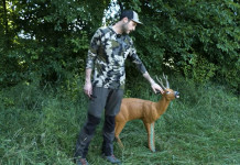 Il piazzamento del colpo nel capriolo: il video tutorial Il piazzamento del colpo nel capriolo video tutorial