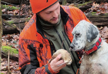 “La cartuccia giusta per la caccia con il cane da ferma” in edicola e online "La cartuccia giusta per la caccia con il cane da ferma" in edicola