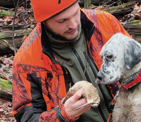 “La cartuccia giusta per la caccia con il cane da ferma” in edicola e online "La cartuccia giusta per la caccia con il cane da ferma" in edicola