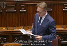 Lollobrigida smentisce le anticipazioni sulla riforma della legge sulla caccia Lollobrigida smentisce le anticipazioni sulla riforma della legge sulla caccia