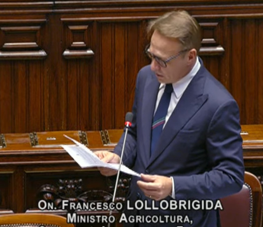 Lollobrigida smentisce le anticipazioni sulla riforma della legge sulla caccia Lollobrigida smentisce le anticipazioni sulla riforma della legge sulla caccia