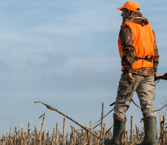 Movimento 5 Stelle: la riforma della legge sulla caccia è una sconfitta di Lollobrigida Movimento 5 Stelle: la riforma della legge sulla caccia è una sconfitta di Lollobrigida: cacciatore con gilet alta visibilità