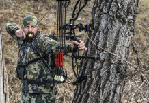 Niente scelta esclusiva Atc-zona Alpi per chi caccia con l’arco Niente scelta esclusiva Atc - zona Alpi per chi caccia con l’arco