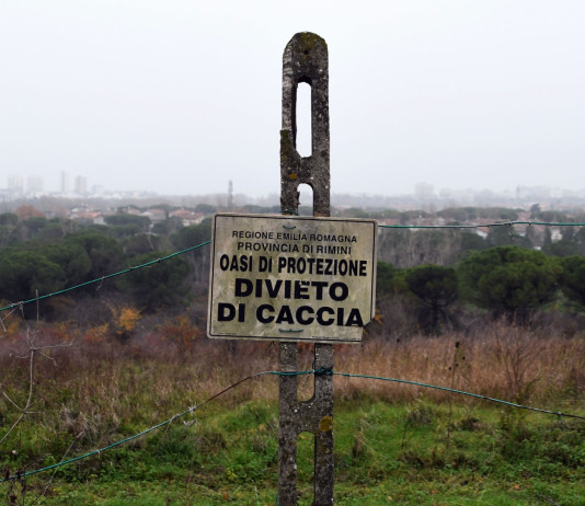 Presentata proposta di legge d’iniziativa popolare per l’abolizione della caccia Presentata proposta di legge d’iniziativa popolare per l’abolizione della caccia