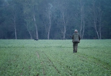 Quanti sono i cacciatori in Campania? Quanti sono i cacciatori in Campania? cacciatore a Caserta