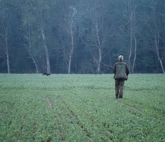 Quanti sono i cacciatori in Campania? Quanti sono i cacciatori in Campania? cacciatore a Caserta