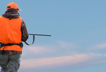 Sulla riforma della legge sulla caccia 46 sigle chiedono incontro ai partiti Sulla riforma della legge sulla caccia 46 sigle chiedono incontro ai partiti - cacciatore con abbigliamento alta visibilità