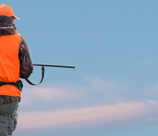 Sulla riforma della legge sulla caccia 46 sigle chiedono incontro ai partiti Sulla riforma della legge sulla caccia 46 sigle chiedono incontro ai partiti - cacciatore con abbigliamento alta visibilità