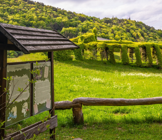 60.000 euro per i roccoli in Lombardia 60.000 euro per i roccoli in Lombardia