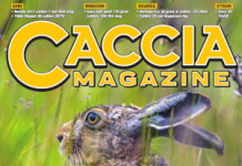 Caccia Magazine agosto 2025 caccia magazine agosto 2025