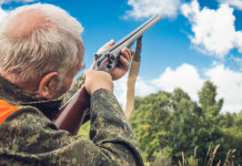 5 Stelle e Avs: ridurre la durata della licenza di porto d’armi (e vietarla ai più anziani) 5 Stelle e Avs: ridurre la durata della licenza di porto d’armi (e vietarla ai più anziani) - cacciatore anziano spara d'imbracciata