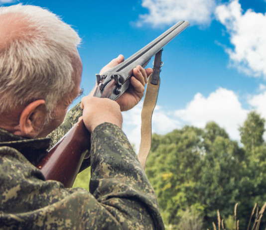 5 Stelle e Avs: ridurre la durata della licenza di porto d’armi (e vietarla ai più anziani) 5 Stelle e Avs: ridurre la durata della licenza di porto d’armi (e vietarla ai più anziani) - cacciatore anziano spara d'imbracciata