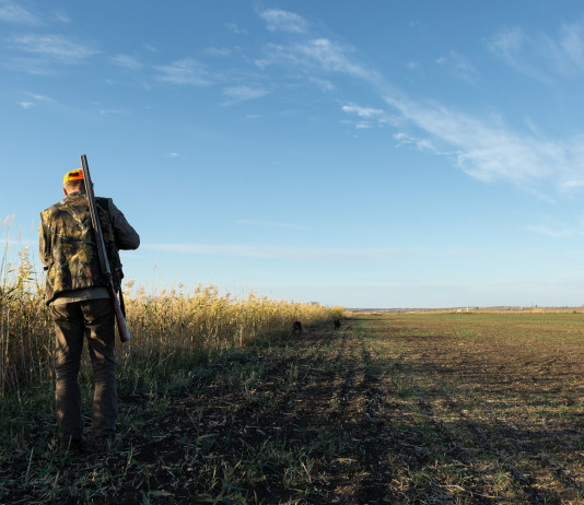 Amidei (Fdi): «Presenza paritetica» di tutte le associazioni venatorie negli Atc Amidei (Fdi): «Presenza paritetica» di tutte le associazioni venatorie negli Atc: cacciatore di spalle
