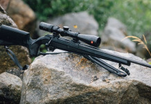 Cinque carabine bolt-action da caccia nella linea Cz 600+ Cinque carabine bolt-action da caccia linea Cz 600+