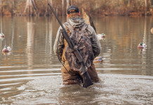Emendamenti per consentire la caccia nel demanio marittimo Emendamenti per consentire la caccia nel demanio marittimo - scena di caccia agli acquatici